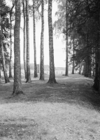 Glava, Gamla kyrkplatsen Vid Fors, Gladisvall