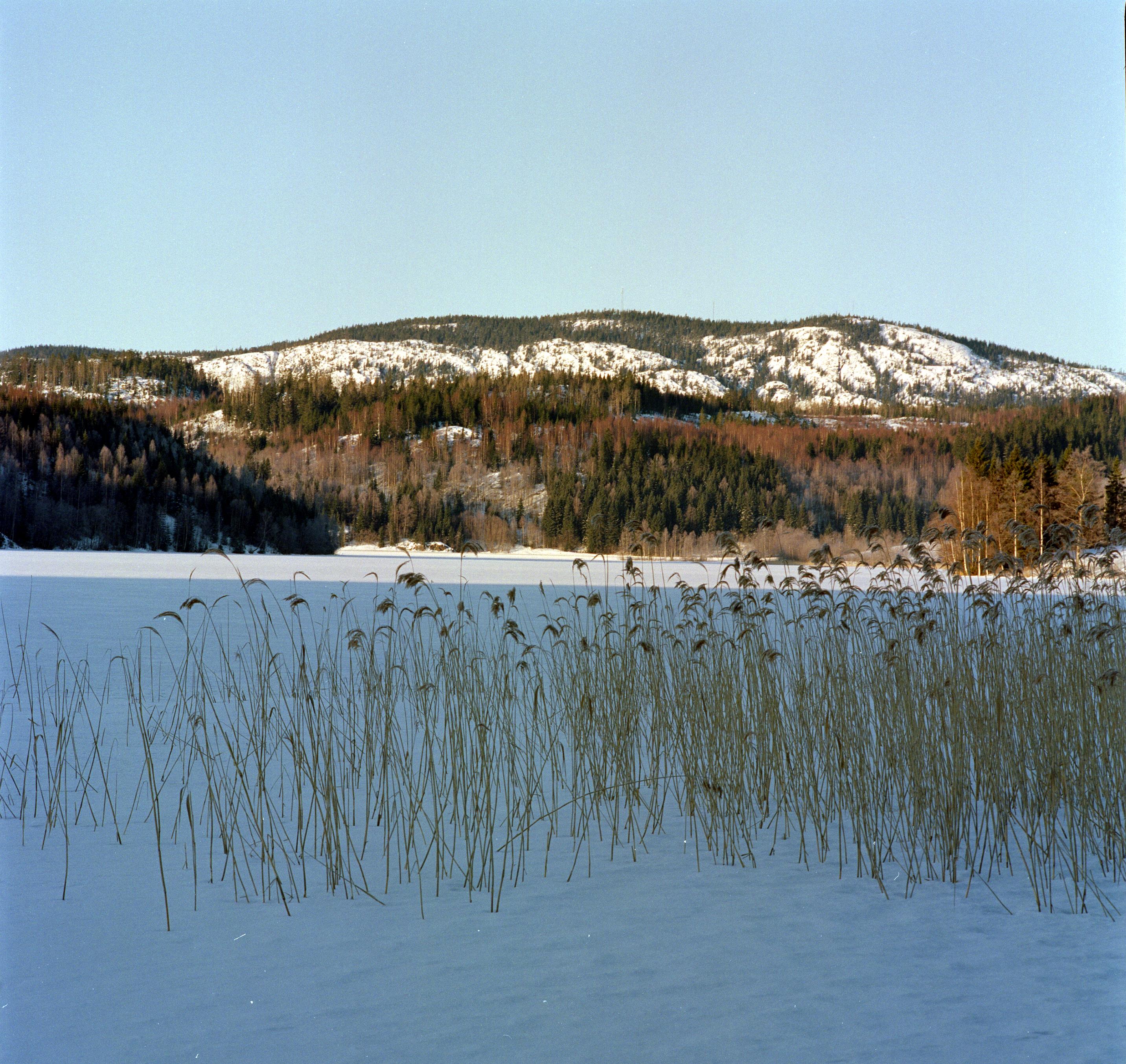 Bengt A Lundberg, Vedasjön
