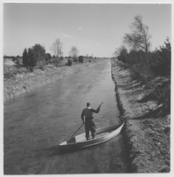 Gotländsk gondojär