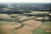 Image of Bo NIYR5;221A