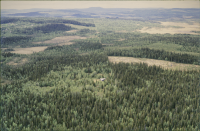 Bjurträsk - Vallsmyran