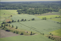 Husby-Långhundra 156:1