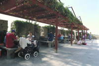 Image of Öl ACTARC37;211