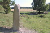 Image of Ög NOR1994;27