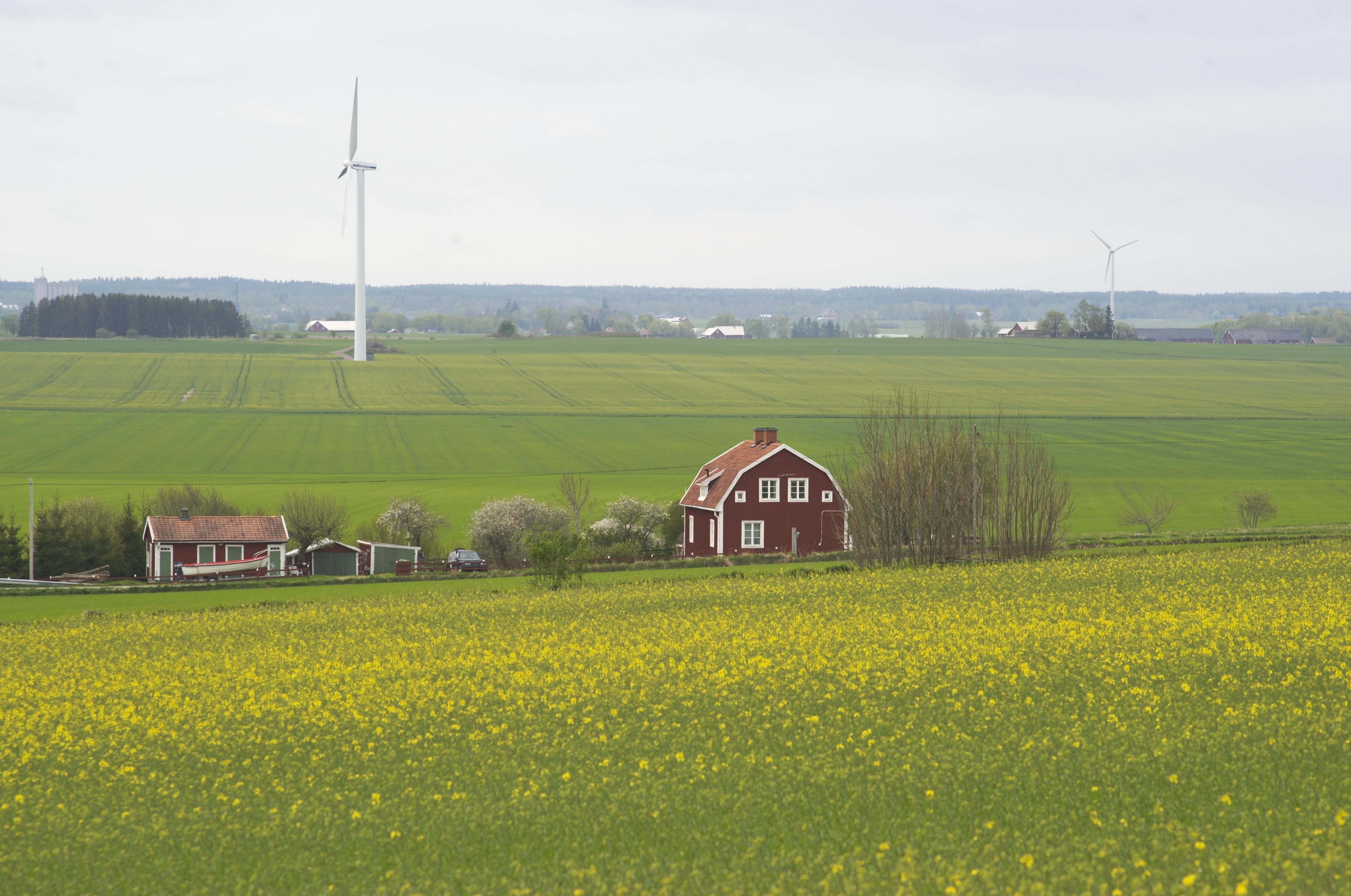 Bengt A Lundberg, Hovsnäs