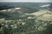 Fröskog