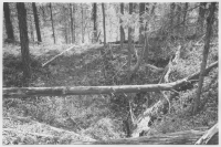 Terräng söder om Sandsele järnvägsstation