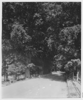 Värnanäs herrgård