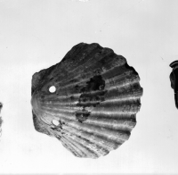 Vä kyrka (Sankta Maria kyrka)