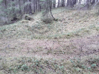 Fångstgrop L1948:9544