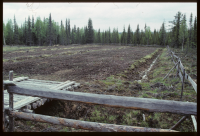 Rikti-Dockas nybygge