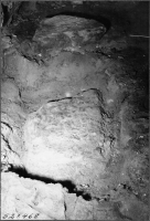 Skara domkyrka (Sankta Maria kyrka)