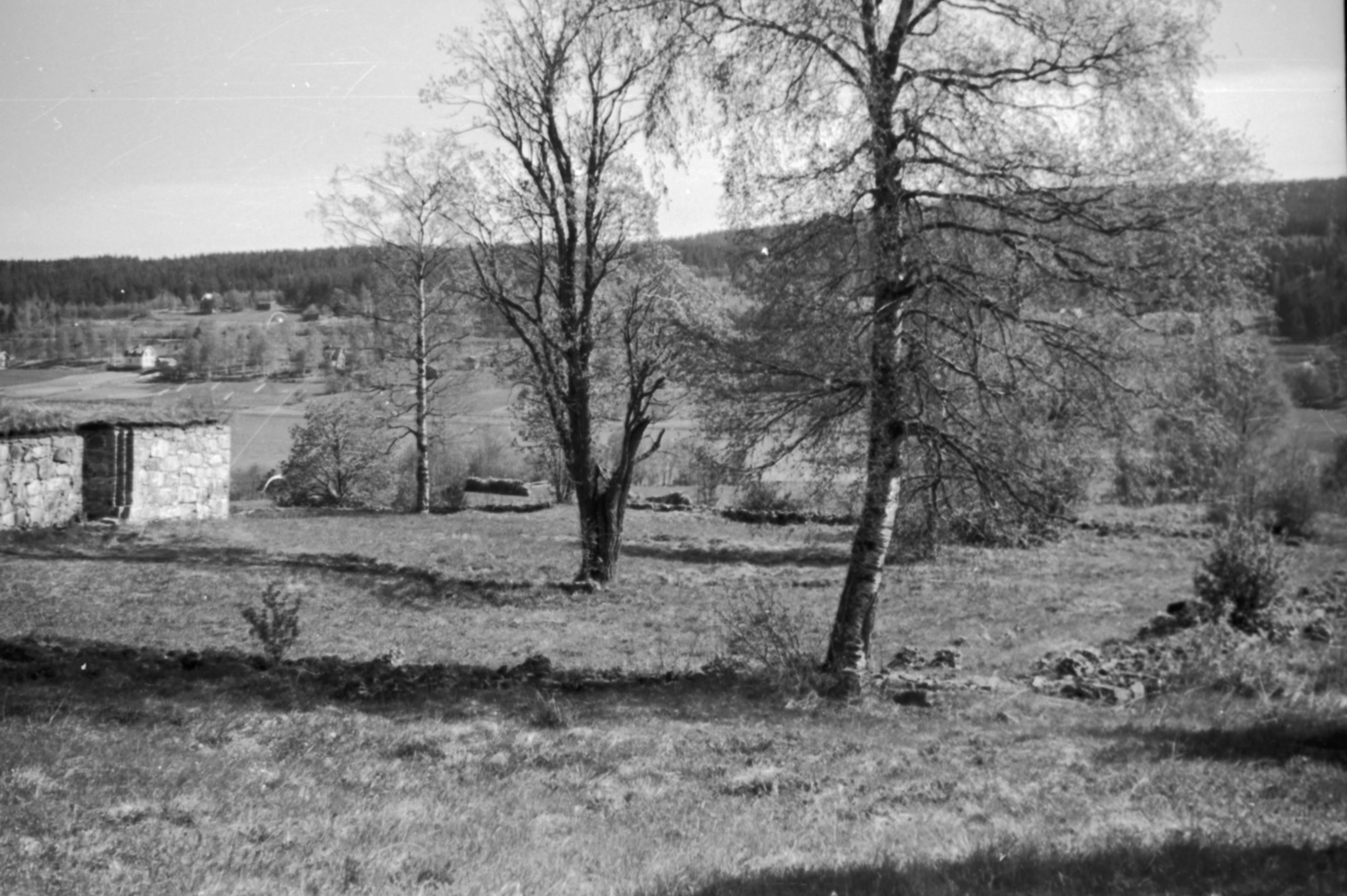 Bertil Berthelson, Selångers kyrkoruin