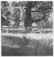 Värnanäs herrgård