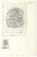 Uppsala Domkyrka. U 925.