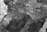 Skara domkyrka (Sankta Maria kyrka)