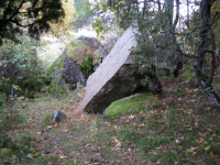 Image of Sö 331