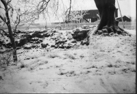 Kloster, Klosterkyrkogården