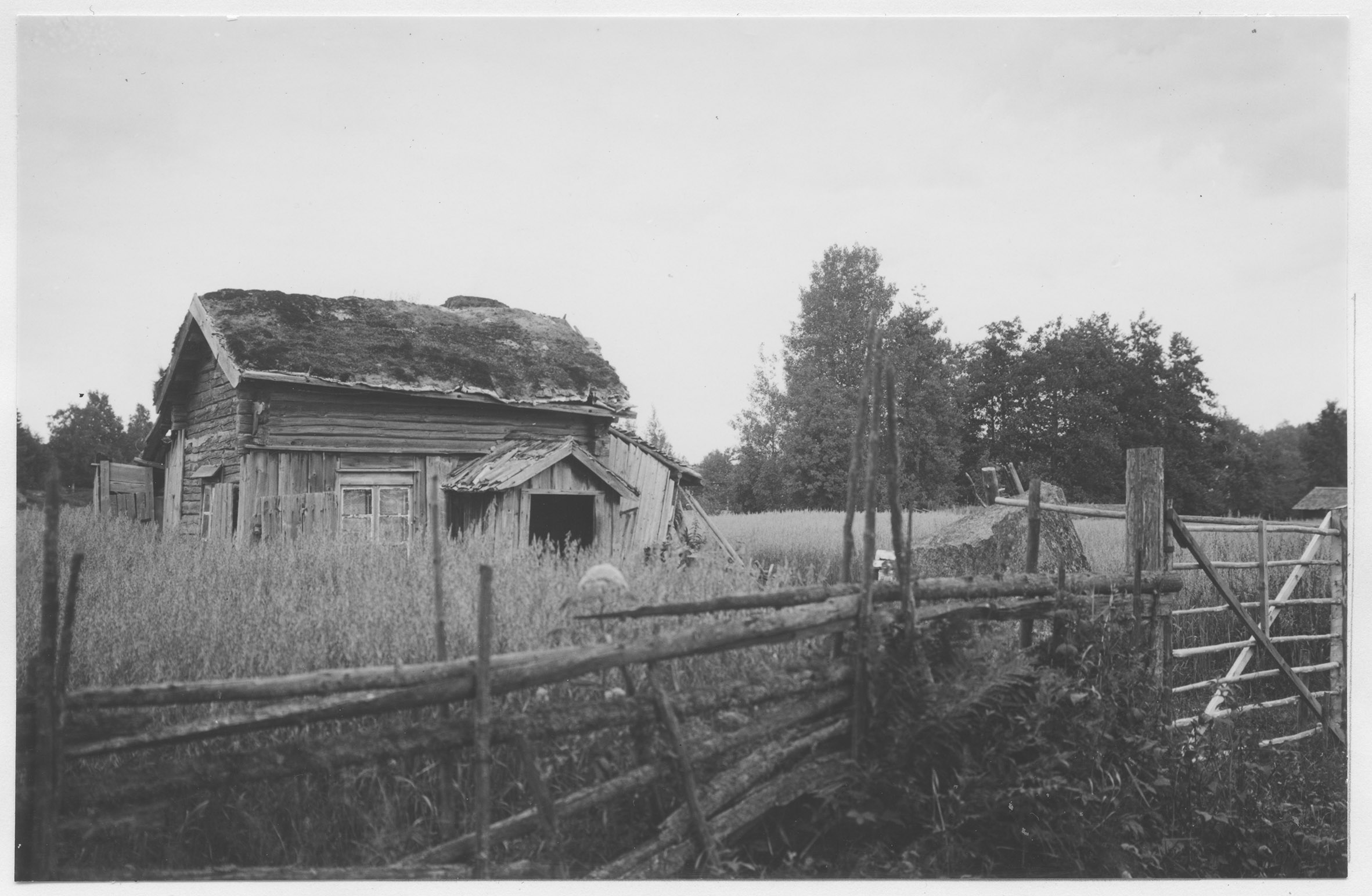 Mårten Sjöbeck, Kullängen