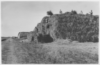 Rännenäs, bärgning av hö