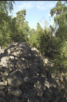 Fornborgen Stora Skansen