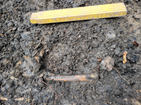 Fanna. Boplatsområde L1939:612