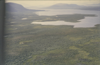 Kiepanjaure - Giehpangielas