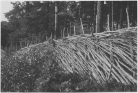 Pieboda, gärdesgård kring åker