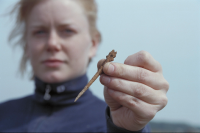 Image of Öl NOR2002;37