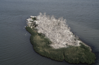 Vargrundet i Bråviken