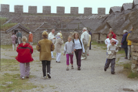 Image of Öl ACTARC37;211