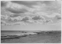 Havsstranden vid Sandby borg