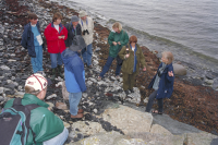 Vandringstur vid Ottenby