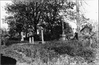 Image of Vg Fv2007;37