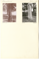 Skänninge. Runsignum Ög 165