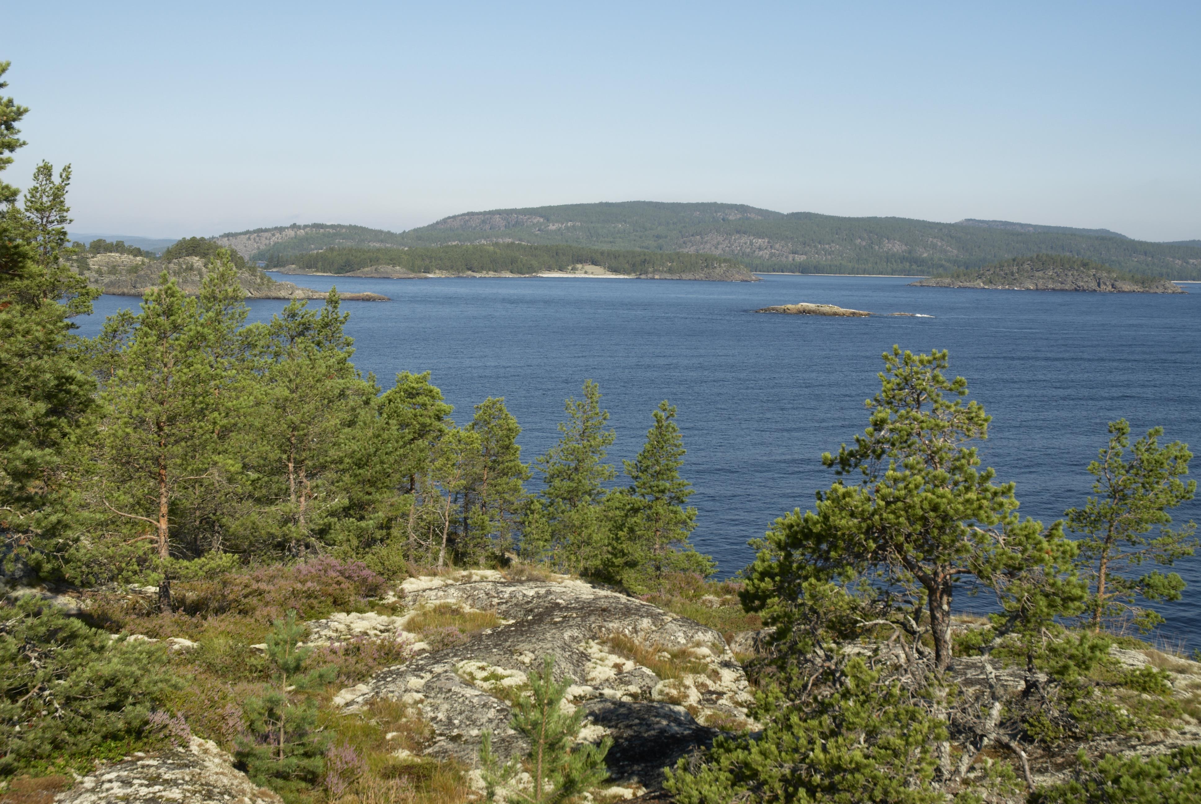 Bengt A Lundberg, Hemsö fästning