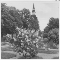 Stockholm, Brännkyrka kyrka