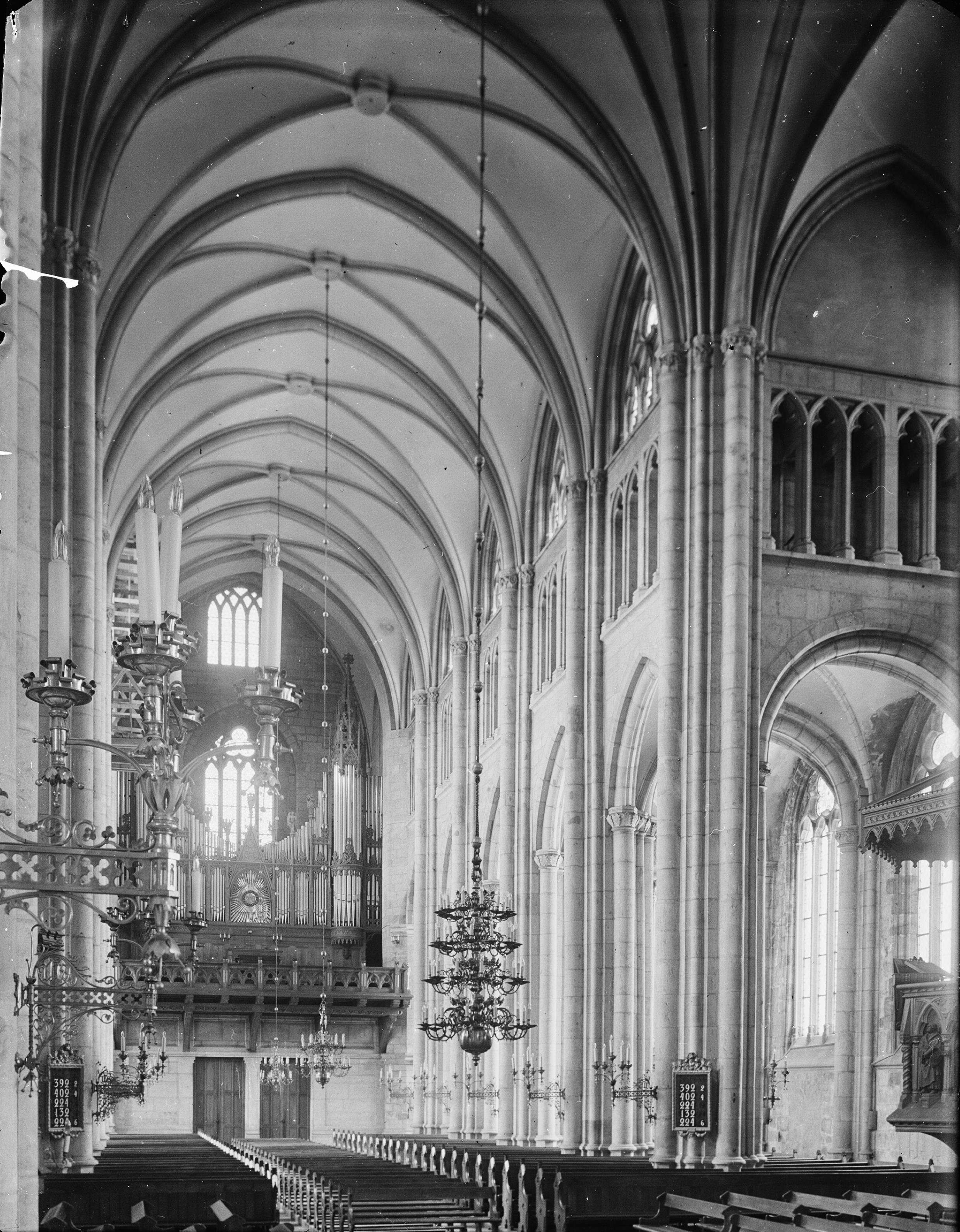 Iwar Anderson, Skara domkyrka (Sankta Maria kyrka)