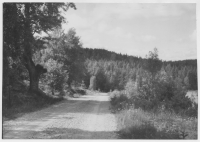 Vägen norrut mellan Semb och Dalen