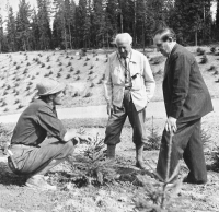 Kilforsens kraftverk