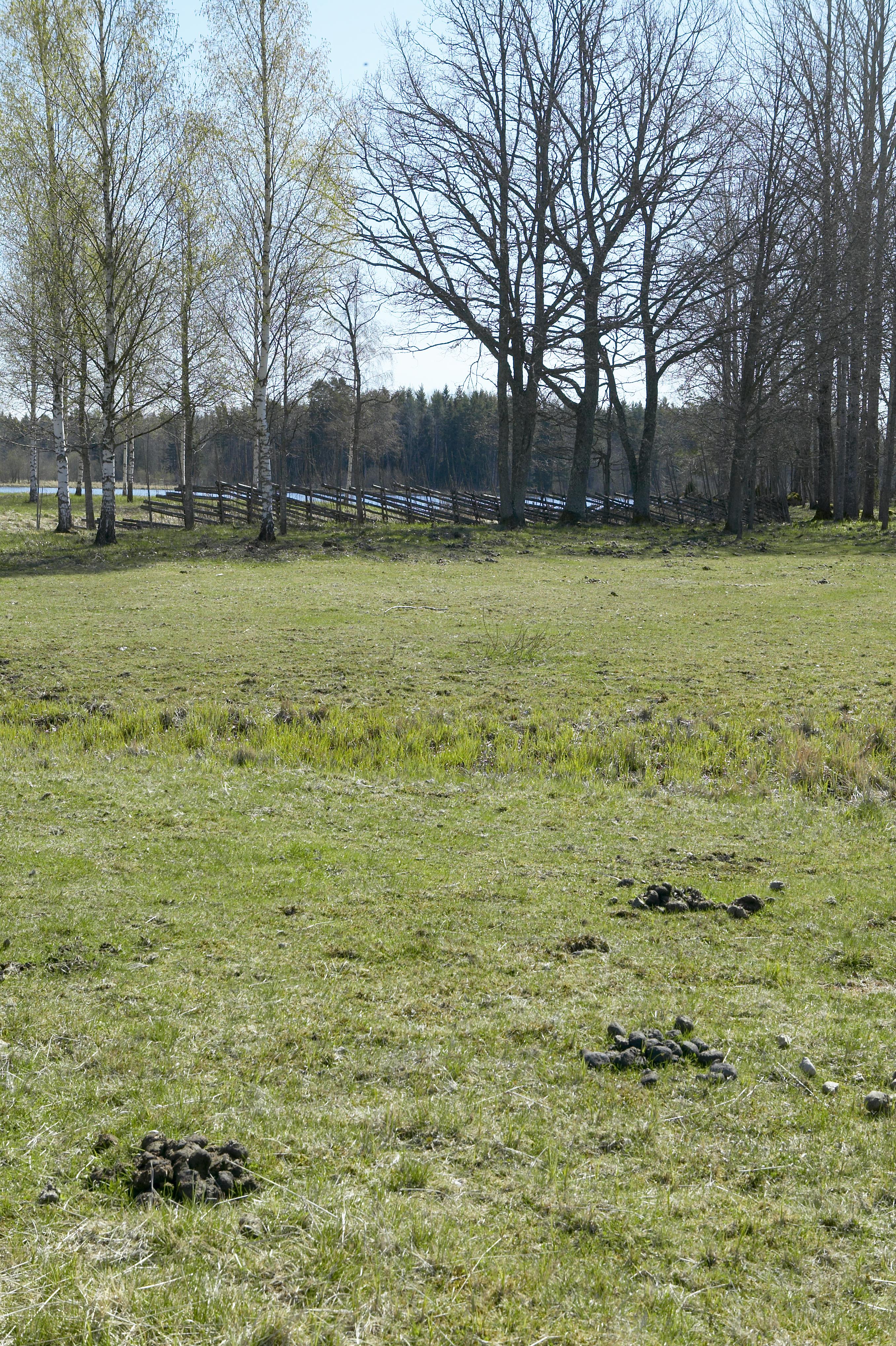 Bengt A Lundberg, Bredforsen