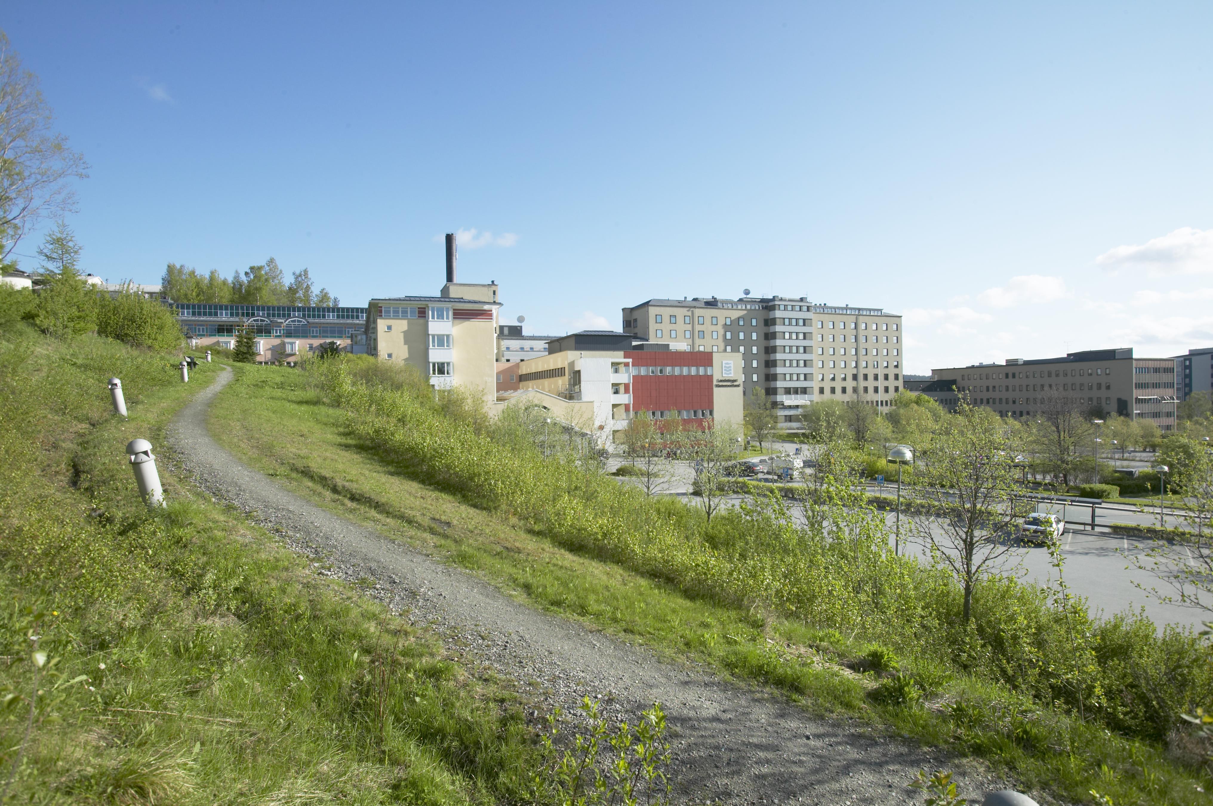 Bengt A Lundberg, Örnsköldsviks sjukhus