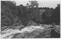 Vägen till Dingle-Medbön