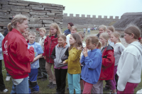 Image of Öl ACTARC37;211