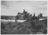 Borekulle, stensträngar på kullens sydvästra sida