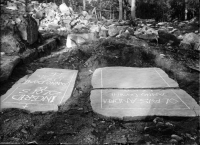 Skog, Sankt Olofs kapellruin