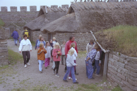 Image of Öl ACTARC37;211