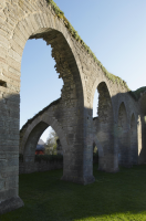 Image of Ög HedvallMenander473