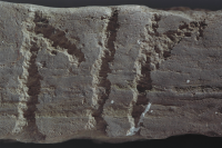 Image of Sm NOR2001;25