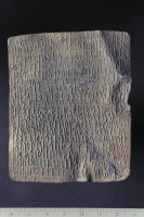 Image of DR NOR1999;21